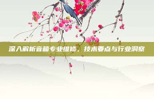 深入解析音箱专业维修，技术要点与行业洞察