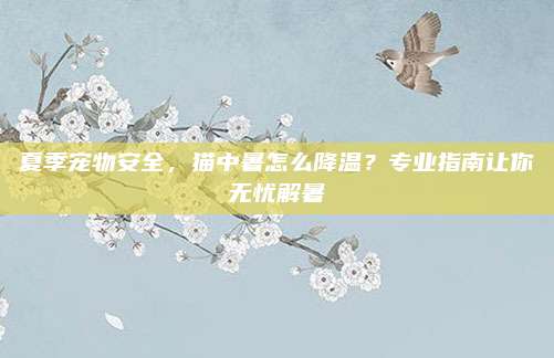夏季宠物安全，猫中暑怎么降温？专业指南让你无忧解暑