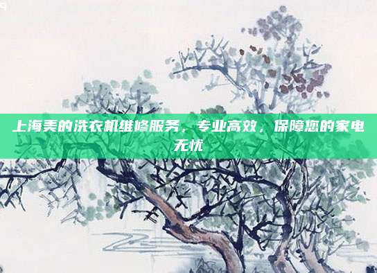 上海美的洗衣机维修服务，专业高效，保障您的家电无忧