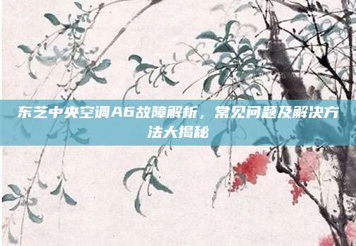 东芝中央空调A6故障解析，常见问题及解决方法大揭秘