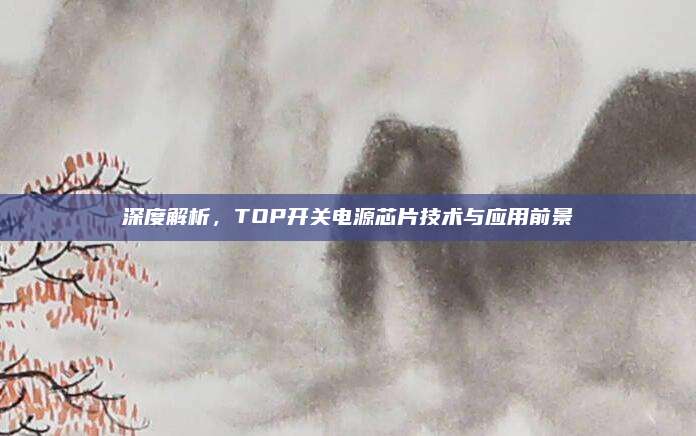 深度解析，TOP开关电源芯片技术与应用前景