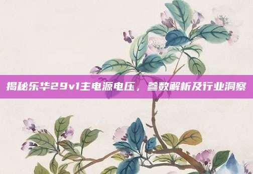 揭秘乐华29v1主电源电压，参数解析及行业洞察