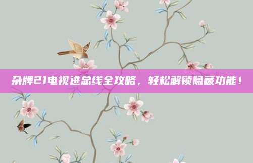 杂牌21电视进总线全攻略，轻松解锁隐藏功能！