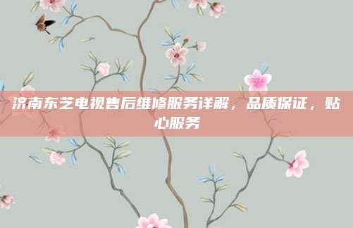 济南东芝电视售后维修服务详解，品质保证，贴心服务