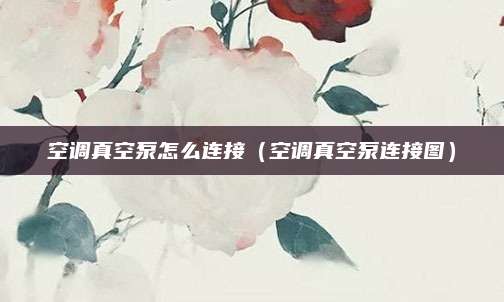空调真空泵怎么连接（空调真空泵连接图）