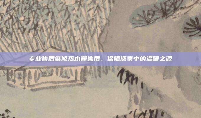 专业售后维修热水器售后，保障您家中的温暖之源