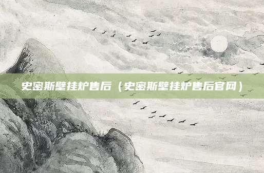 史密斯壁挂炉售后(史密斯壁挂炉售后官网)