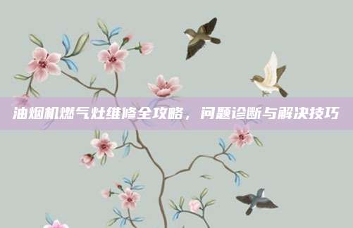 油烟机燃气灶维修全攻略，问题诊断与解决技巧