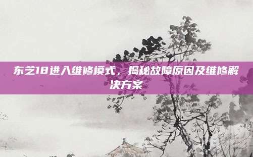 东芝18进入维修模式,揭秘故障原因及维修解决方案