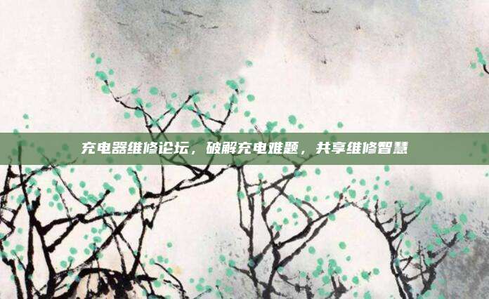 充电器维修论坛，破解充电难题，共享维修智慧