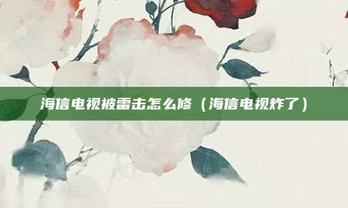 海信电视被雷击怎么修（海信电视炸了）