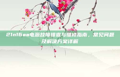 21n16aa电源故障排查与维修指南，常见问题及解决方案详解