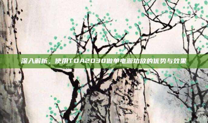 深入解析，使用TDA2030做单电源功放的优势与效果