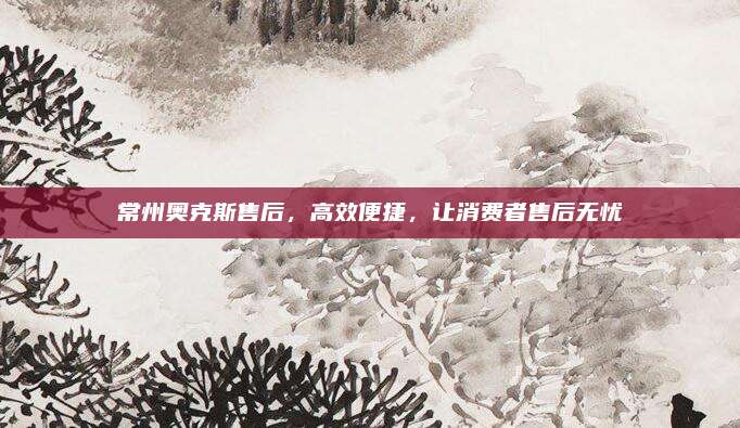 常州奥克斯售后，高效便捷，让消费者售后无忧