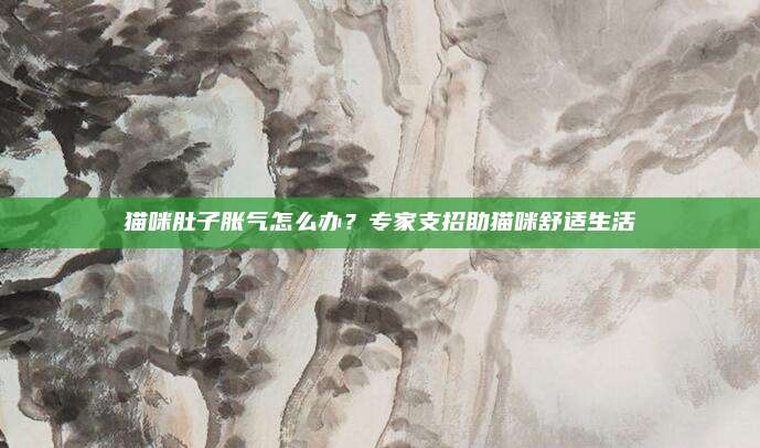 猫咪肚子胀气怎么办？专家支招助猫咪舒适生活