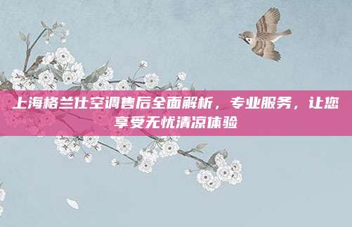 上海格兰仕空调售后全面解析，专业服务，让您享受无忧清凉体验