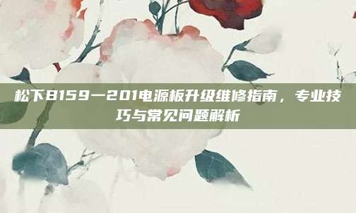 松下B159一201电源板升级维修指南,专业技巧与常见问题解析