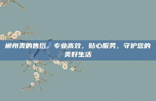 郴州美的售后,专业高效,贴心服务,守护您的美好生活