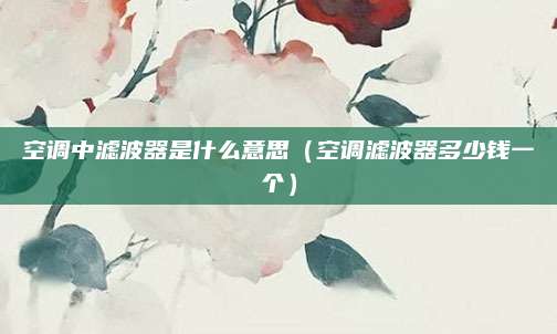 空调中滤波器是什么意思（空调滤波器多少钱一个）