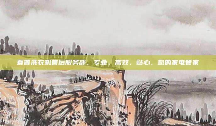 夏普洗衣机售后服务部，专业、高效、贴心，您的家电管家