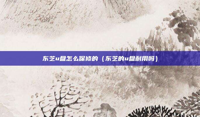 东芝u盘怎么保修的（东芝的u盘耐用吗）