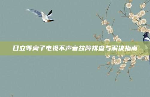 日立等离子电视不声音故障排查与解决指南