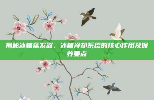 揭秘冰箱蒸发器，冰箱冷却系统的核心作用及保养要点