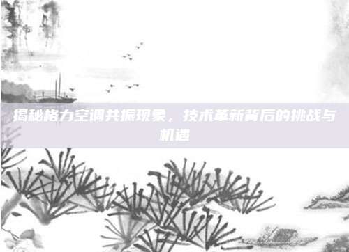 揭秘格力空调共振现象,技术革新背后的挑战与机遇