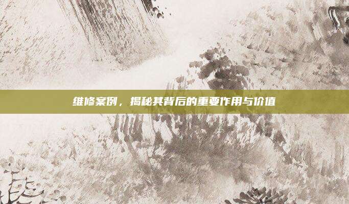 维修案例，揭秘其背后的重要作用与价值
