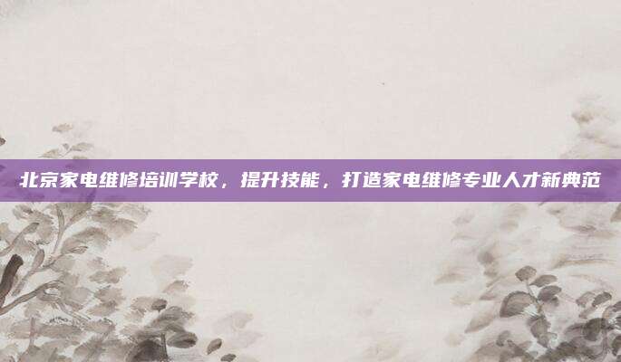 北京家电维修培训学校，提升技能，打造家电维修专业人才新典范