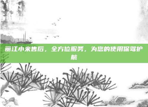 丽江小米售后,全方位服务,为您的使用保驾护航
