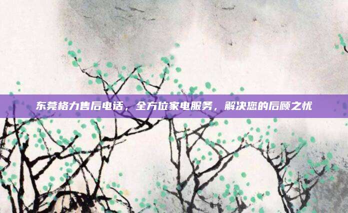 东莞格力售后电话，全方位家电服务，解决您的后顾之忧