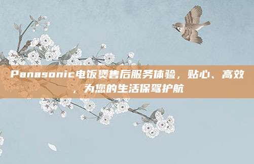 Panasonic电饭煲售后服务体验,贴心、高效,为您的生活保驾护航