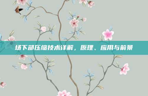 场下部压缩技术详解,原理、应用与前景