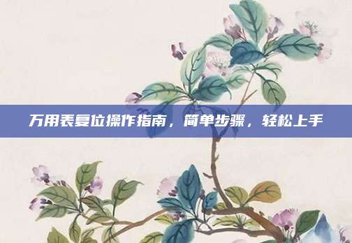 万用表复位操作指南，简单步骤，轻松上手