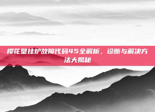 樱花壁挂炉故障代码45全解析，诊断与解决方法大揭秘