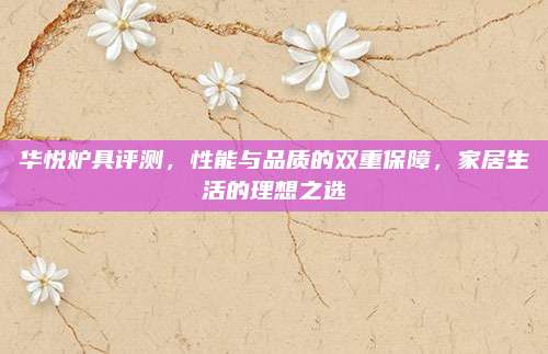 华悦炉具评测，性能与品质的双重保障，家居生活的理想之选