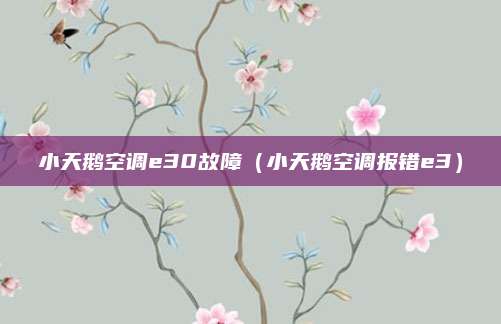 小天鹅空调e30故障（小天鹅空调报错e3）