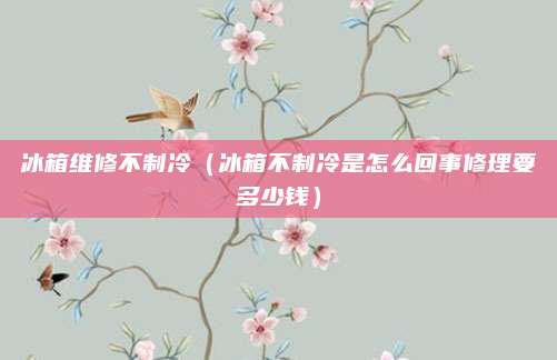 冰箱维修不制冷(冰箱不制冷是怎么回事修理要多少钱)