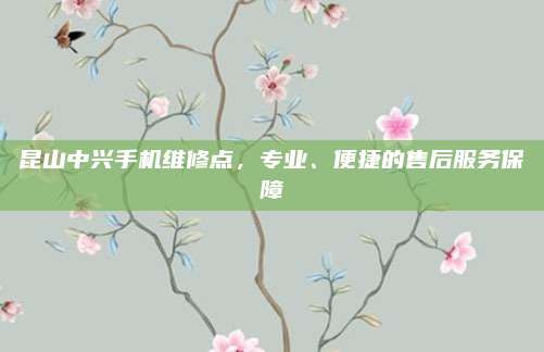 昆山中兴手机维修点,专业、便捷的售后服务保障