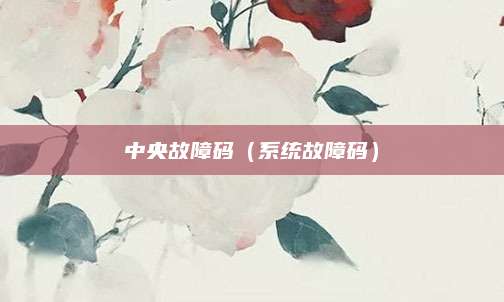 中央故障码（系统故障码）