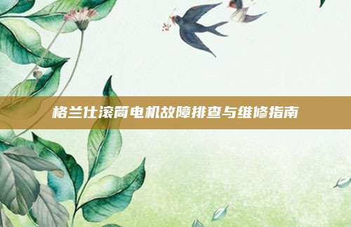 格兰仕滚筒电机故障排查与维修指南