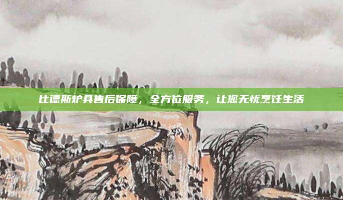 比德斯炉具售后保障,全方位服务,让您无忧烹饪生活