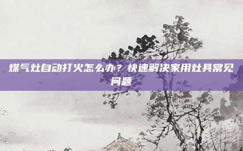 煤气灶自动打火怎么办?快速解决家用灶具常见问题