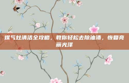 煤气灶清洁全攻略,教你轻松去除油渍,恢复亮丽光泽