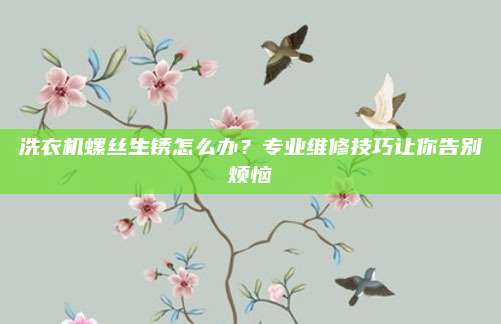 洗衣机螺丝生锈怎么办？专业维修技巧让你告别烦恼