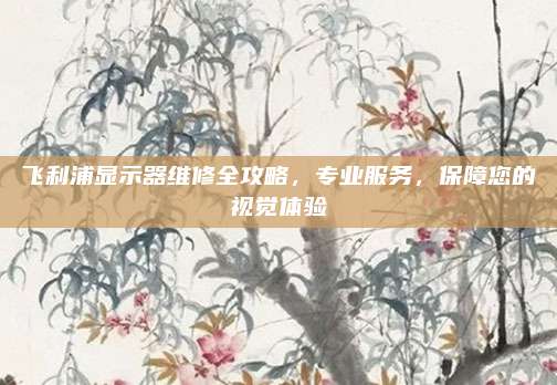 飞利浦显示器维修全攻略,专业服务,保障您的视觉体验