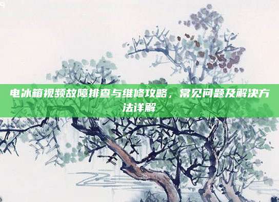 电冰箱视频故障排查与维修攻略,常见问题及解决方法详解