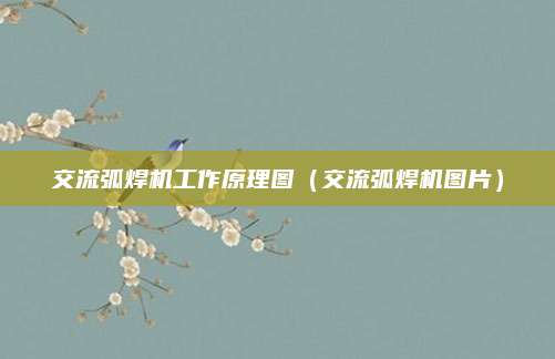 交流弧焊机工作原理图（交流弧焊机图片）