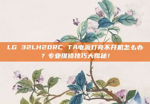 LG 32LH20RC TA电源灯亮不开机怎么办?专业维修技巧大揭秘!